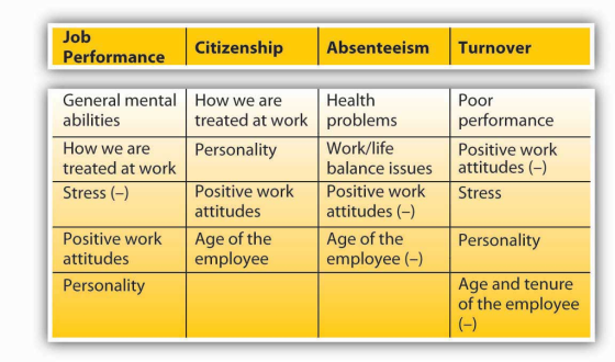 Job Citizenship Absenteeism Turnover Performance General mental How we are abilities Health Poor performance Positive work treated at work problems How we are Personality Worklfre balance issues attitudes (-) treated at work Stress (-) Positive work Positive work Stress attitudes attitudes ( Age of the employee (-) Positive work attitudes |Age of the Personality employee Age and tenure of the employee Personality