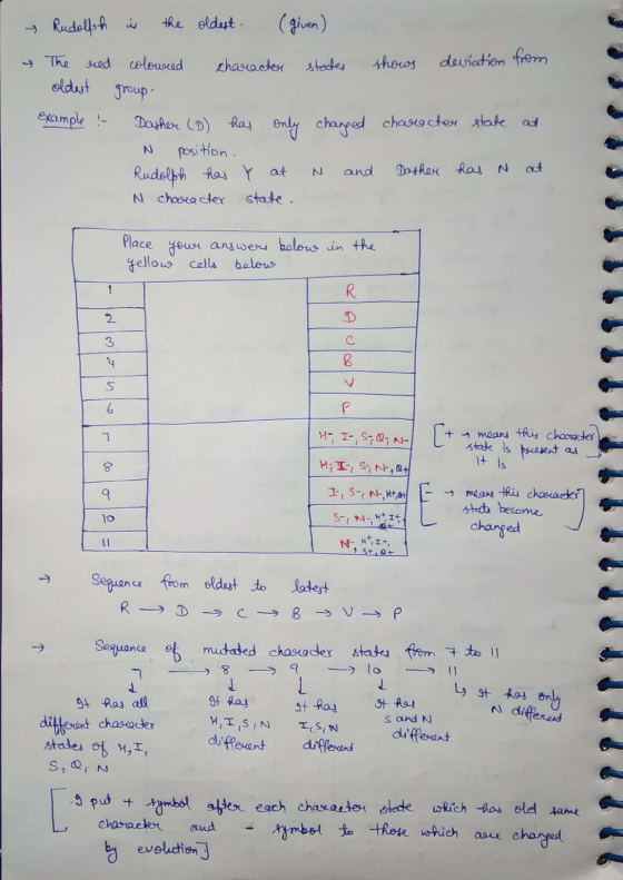 - Rudolfsh is the oldest (given) y The colowred character states shows deviation from red oldest group. example : N Dasher (D