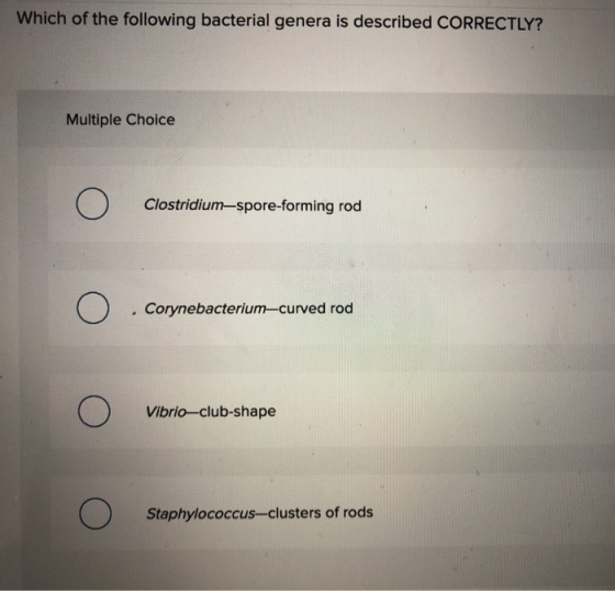 Which of the following bacterial genera is described CORRECTLY? Multiple Choice O Clostridium-spore-forming rod O Corynebacte