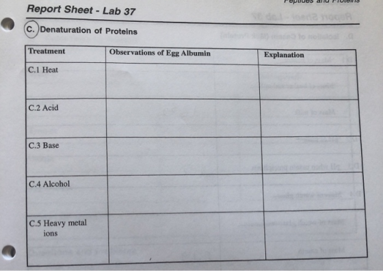Popuues allu FIDICHTS Report Sheet - Lab 37 c. Denaturation of Proteins Treatment Observations of Egg Albumin Explanation C.1