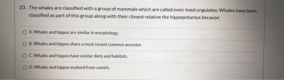 23. The whales are classified with a group of mammals which are called even-toed ungulates. Whales have been classified as pa