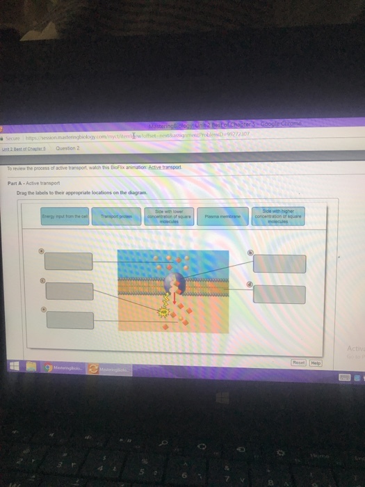 whoffset nextBassignmentProblemiD 99212307 unit 2 Best ot Chape5 Question 2 To review the process of active transport, watch this BioFlix animation Active transport Part A Active bransport Drag the labels to their appeopriate locations on the diagram. with highe npu trom the 7 8
