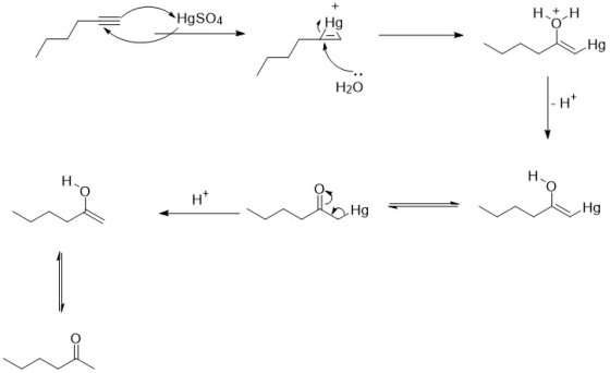 HgSO4 H20 newhoto — we W ROHO Hg