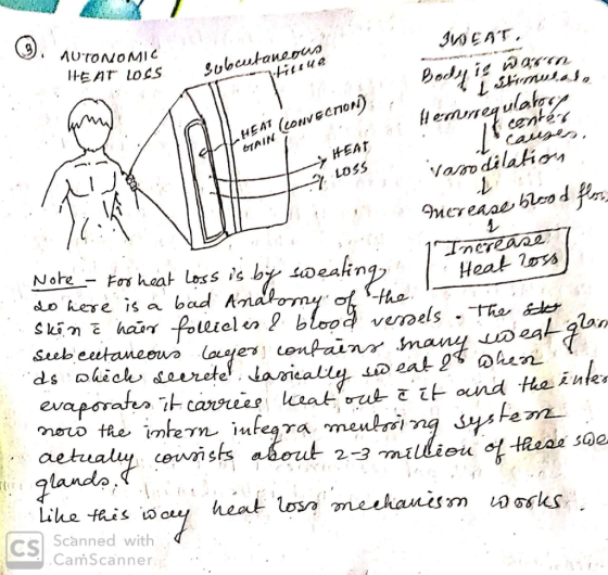 Hiline wm LHEAT (Lowveenon) GTAIN - HEAT AUTONOMIC JUCAT, HEAT Loss subcuto Bodhi. Warto i Stimulas, Hemonequlaby it center c