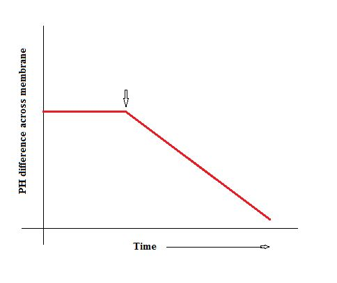 PH difference across membrane 2