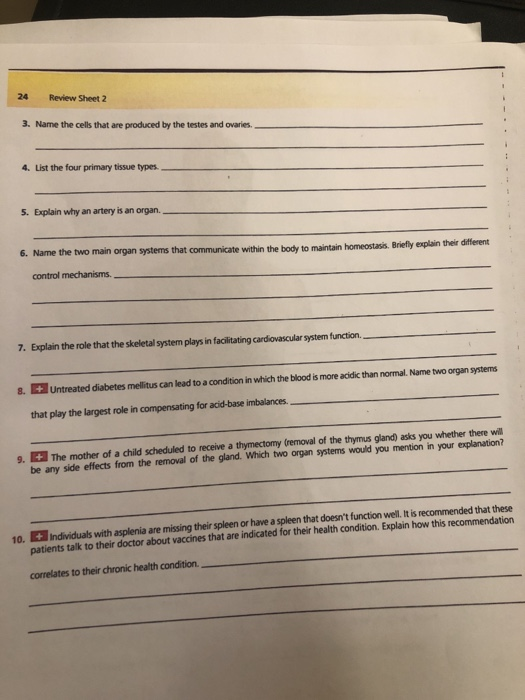 24 Review Sheet 2 3. Name the cells that are produced by the testes and ovaries. 4. List the four primary tissue types. 5. Ex