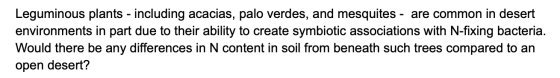 Leguminous plants - including acacias, palo verdes, and mesquites - are common in desert environments in part due to their ab
