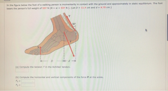 In the figure below the foot of a walking person is momentarily in contact with the ground and approximately in static equili