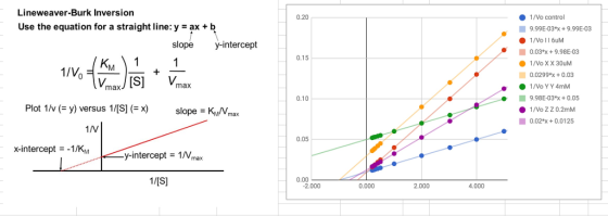 Lineweaver-Burk Inversion 0.20 ● 1 /Vo control Use the equation for a straight line: y-ax+Ib 9.99E-03*x+9.99E-03 slope y-inte
