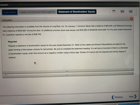 Calculator Instruction Labels and Amount Descriptions Statement of Stockholders Equity Instruction The following information
