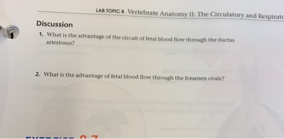 LAB TOPIC 8 Vertebrate Anatomy II: The Circulatory and Respirato Discussion 1. What is the advantage of the circuit of fetal