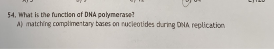54. What is the function of DNA polymerase? A) matching complimentary bases on nucleotides during DNA replication