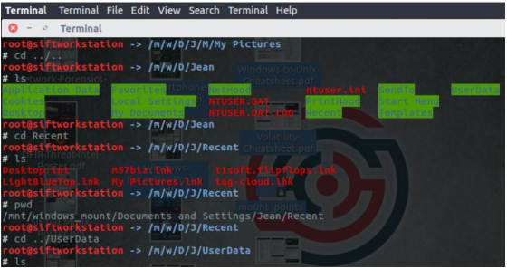 UserData Cookies SendTo Start Menu Templates Docum Terminal Terminal File Edit View Search Terminal Help - Terminal root@sift