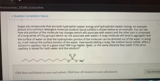 Itra/courses/_28286_1/cl/outline Question Completion Status: Soaps are compounds that are both hydrophilic (water loving) and