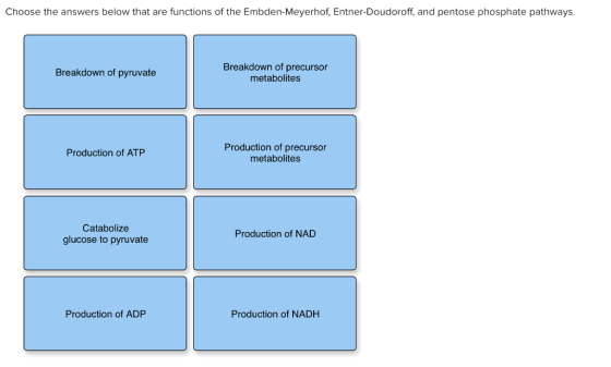 Choose the answers below that are functions of the Embden-Meyerhof, Entner-Doudoroff, and pentose phosphate pathways. Breakdo