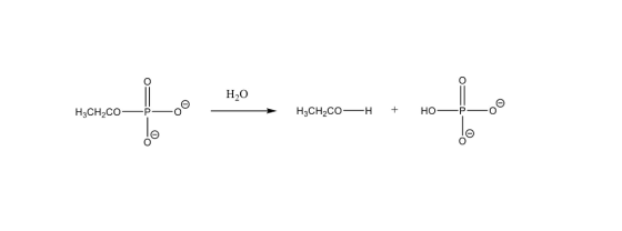 H20 32