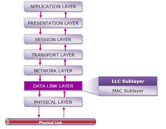 APPLICATION LAYER PRESENTATION LAYER SESSION LAYER TRANSPORT LAYER NETWORK LAYER DATA LINK LAYER LLC Sublayer MAC Sublayer PH