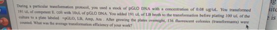 During a particular transformation protocol, you used a stock of PGLO DNA with a concentration of 0.08 ug ul. You transformed