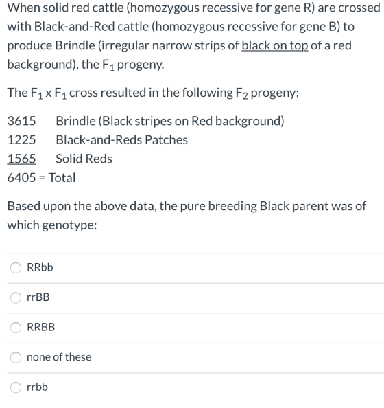 When solid red cattle (homozygous recessive for gene R) are crossed with Black-and-Red cattle (homozygous recessive for gene
