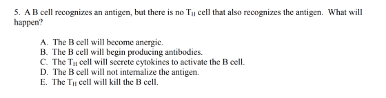 5. A B cell recognizes an antigen, but there is no Th cell that also recognizes the antigen. What will happen? A. The B cell
