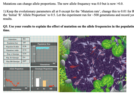Mutations can change allele proportions. The new allele frequency was 0.0 but is now >0.0. 1) Keep the evolutionary parameter