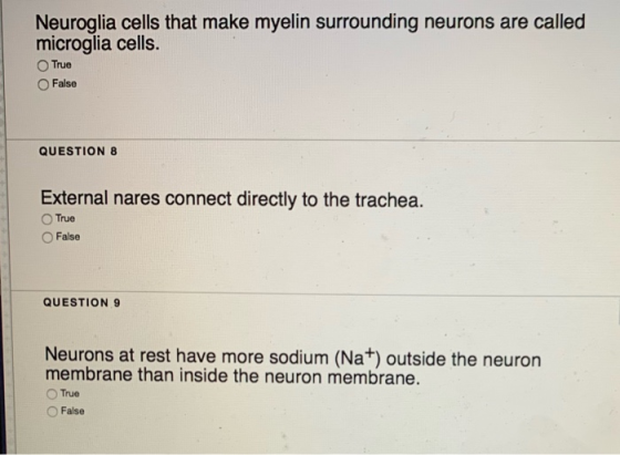 Neuroglia cells that make myelin surrounding neurons are called microglia cells. True False QUESTION 8 External nares connect