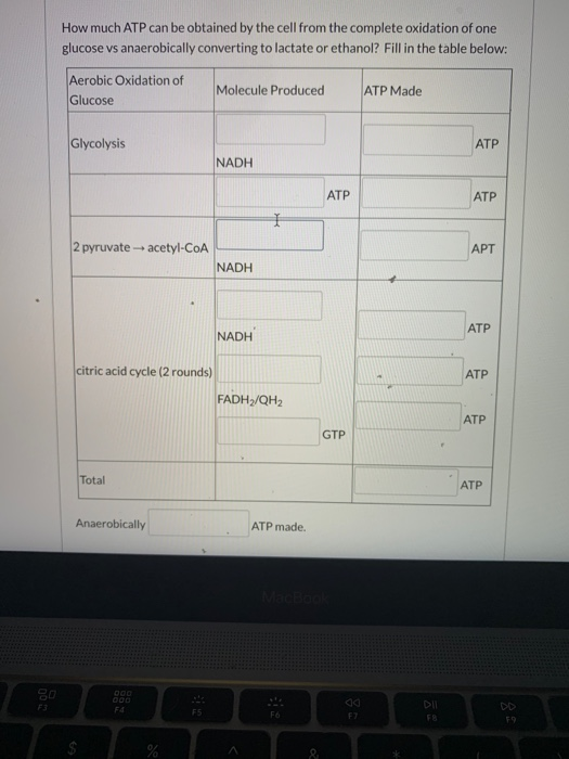 How much ATP can be obtained by the cell from the complete oxidation of one glucose vs anaerobically converting to lactate or