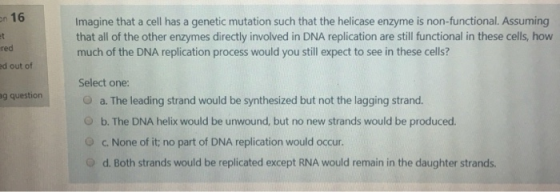 on 16 Imagine that a cell has a genetic mutation such that the helicase enzyme is non-functional. Assuming that all of the ot