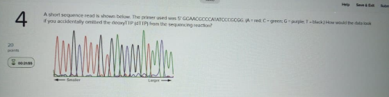 Help SEVES E Sube 4 A short sequence read is shown below. The primer used was 5 GGAACGCCCATATCCCGCGG. (A=red C=green: G=purpl