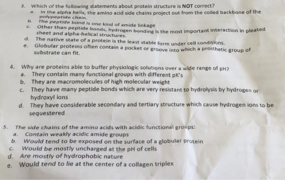 Which of the following statements about protein st