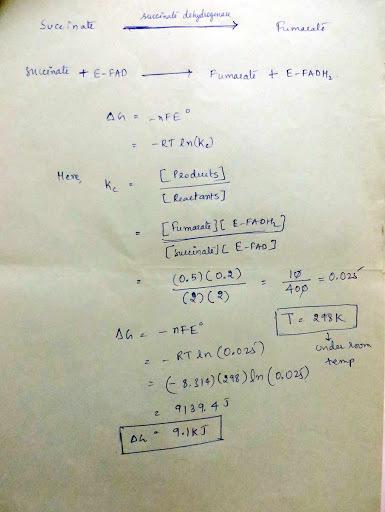 ucena RT (ke eve LReactantsJ nali (0.5) C o.3) (A)(炅) 0.024 op z - RTǐn (0.02s) 冫ヒ8.3,4) (21g)In (0, O 23) e 9139 4 3 ,temp