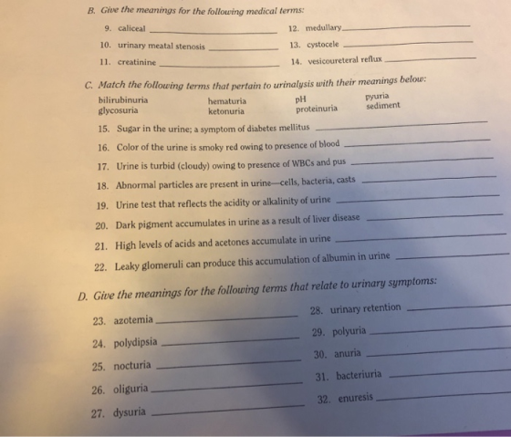 B. Give the meanings for the following medical terms: 9. caliceal 12. medullary 10. urinary meatal stenosis 13. cystocele 11.