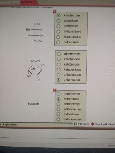 keloletrose aldotriose O ketotriose O aldopentose O ketopentose O aldotetrose CHO H-OH CH OH O aldotetrose O ketohexose O ketotetrose O ketopentose O aldopentose O aldohexose CH-OH OH 0 OH OH OH O aldohexose kelotetrose O ketohexose O ketopentose O aldotetrose O aldopentose fructose Previous Give Up & View s