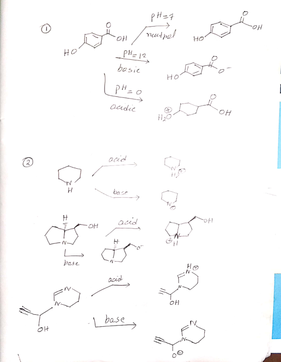 pH=7 -OH / neutral HO HO _PH_12 basic HO PH O acidie LOH acid IZ O -1 base acid OH a base o H