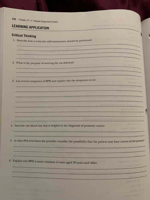 228 Chapter 27 Chapter Assignment Sheets LEARNING APPLICATION Critical Thinking 1. Describe how a testicular self-examination
