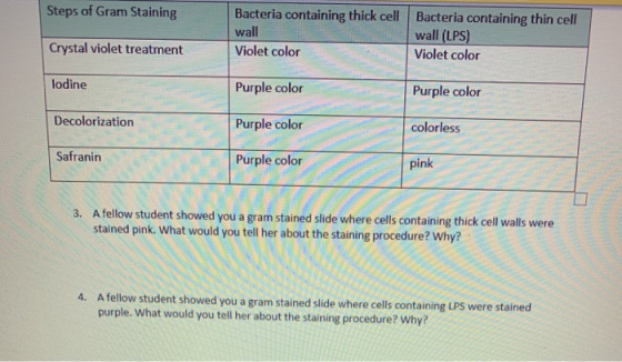 Steps of Gram Staining Bacteria containing thick cell wall Violet color Bacteria containing thin cell wall (LPS) Violet color
