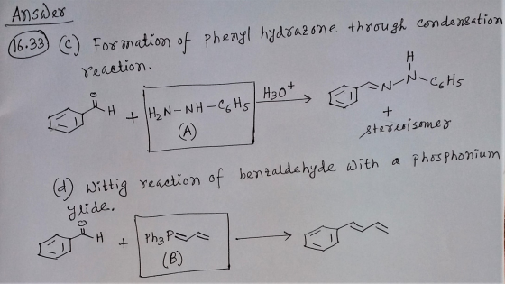 Answer 16.33) (C) Formation of phenyl hydrazone through condensation reaction. H H30t W-N- Cots -H + + H₂N-NH-CGHS (A) stereo