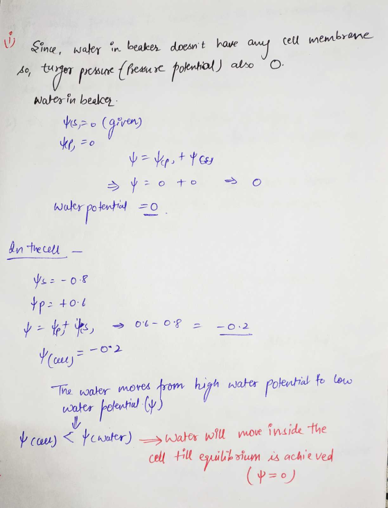 co cell membrane since, water in eaker doesnt have any so turgor pressure (pressure potential) also water in beaker 4 16 = 0