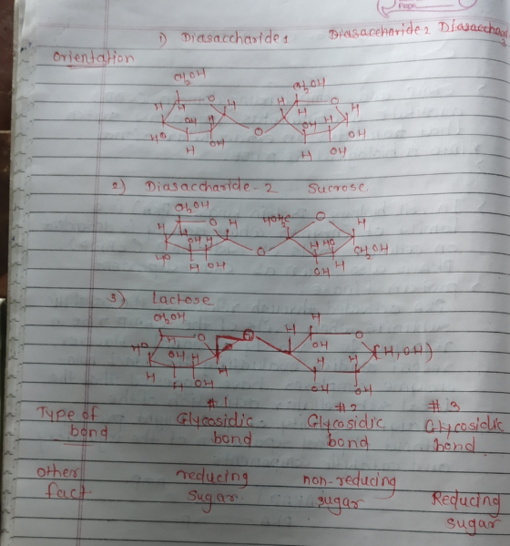 Pep Dhasaceharide2 Diasaecha Diasacchasides Orientation H Diasacchaside SucTose 2 HO CHOH HOH Lactose OT 2 TYpe of band Gumsi