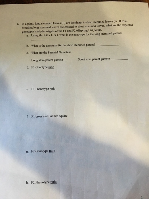 6. In a plant, long stemmed leaves (L.) are dominant to short stemmed leaves (1). If true- breeding long stemmed leaves are crossed to short stemmed leaves, what are the expected genotypes and phenotypes of the Fl and F2 offspring? 10 points Using the letter L or I, what is the genotype for the long stemmed parent? What is the genotype for the short stemmed parent? What are the Parental Gametes? Long stem parent gamete a. b. c. Short stem parent gamete d. FI Genotype ratio e. F1 Phenotype ratio f. FI cross and Punnett square g. F2 Genotype ratio h. F2 Phenotype ratio