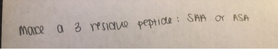 make a 3 resiane peptide: SAA or ASA