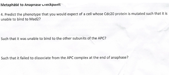 Metaphase to Anapnase uneckpoint 4. Predict the phenotype that you would expect of a cell whose Cdc20 protein is mutated such