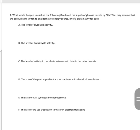 2. What would happen to each of the following if reduced the supply of glucose to cells by 50%? You may assume that the cell