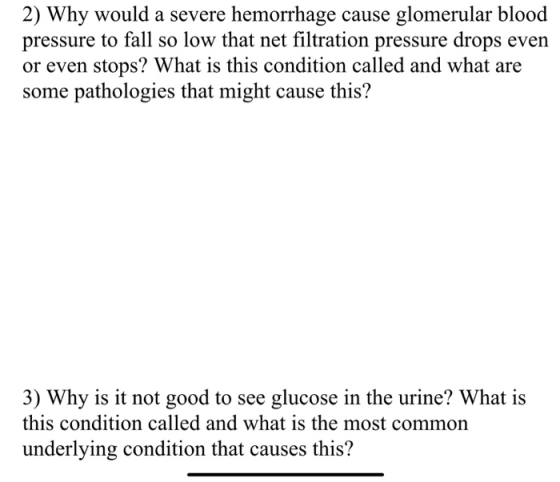 2) Why would a severe hemorrhage cause glomerular blood pressure to fall so low that net filtration pressure drops even or even stops? What is this condition called and what are some pathologies that might cause this? 3) Why is it not good to see glucose in the urine? What is this condition called and what is the most common underlying condition that causes this?