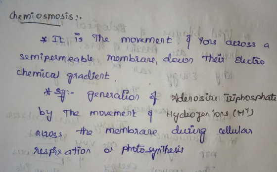 chemiosmosis Beclcom eeNA Tt13 The moverent Yors aeross a Their Electio Semipermeable mombaane, down (Us chemical gradient en