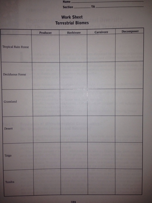 Tropical Rain Forest Deciduous Forest Grassland Taiga Tundra Name TA Section Work Sheet Terrestrial Biomes Producer Herbivore Carnivore Decomposer