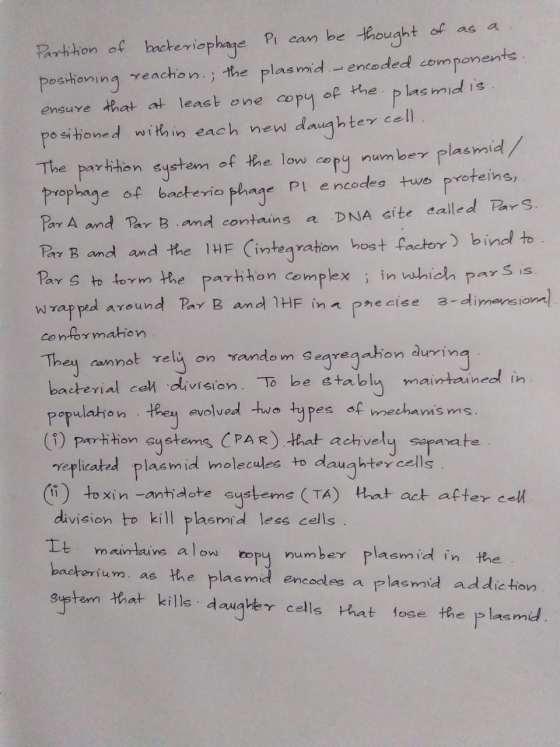 Partition of bacteriophage Pl can be thought of as a. positioning reaction.; the plasmid - encoded components. ensure that at