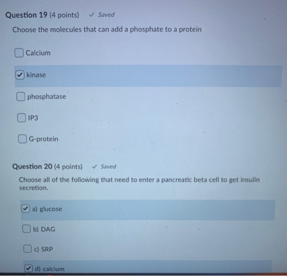 Question 19 (4 points) ✓ Saved Choose the molecules that can add a phosphate to a protein Calcium kinase phosphatase IP3 G-pr