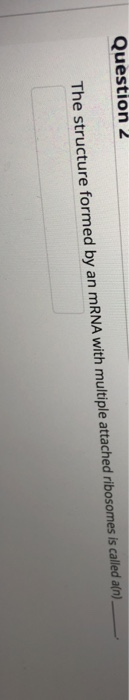 Question 2 The structure formed by an MRNA with multiple attached ribosomes is called a(n)