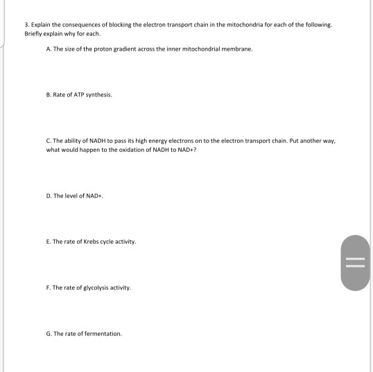 3. Explain the consequences of blocking the electron transport chain in the mitochondria for each of the following. Briefly e